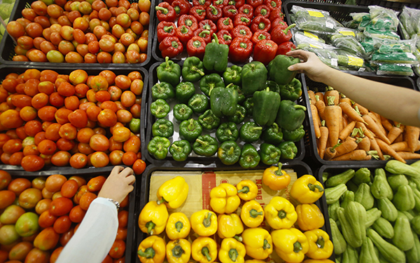 Transporting Food Safely in Fridge Vans and Vehicles