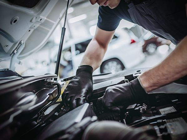 Service & MOT