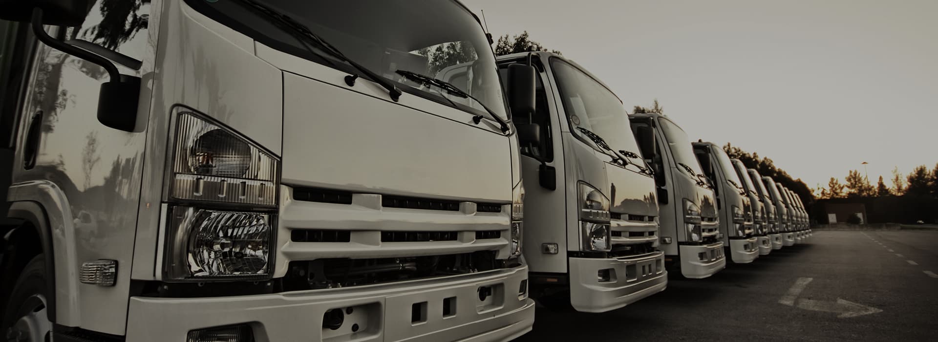 Truck And Plant Sales Ltd Content Hero Trucks (1) -  Truck & Plant Sales