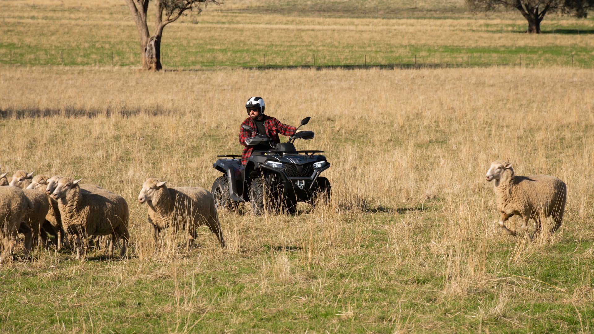 CFMOTO CFORCE Quad Bike Working In Field