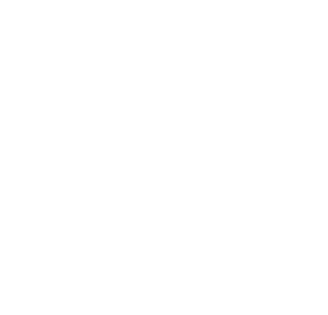 Mitsubishi Servicing 