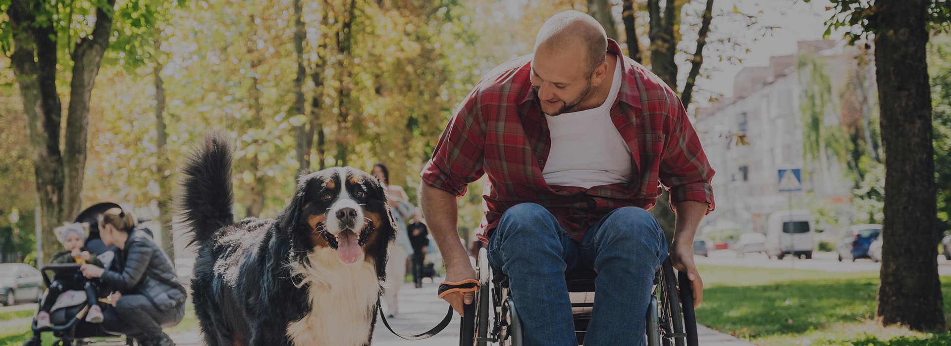 7 of the best wheelchair friendly days out in Suffolk