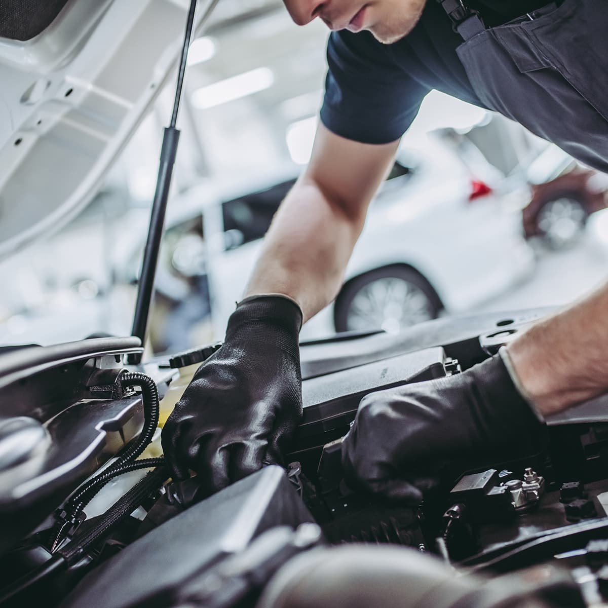 Vehicle Technician
