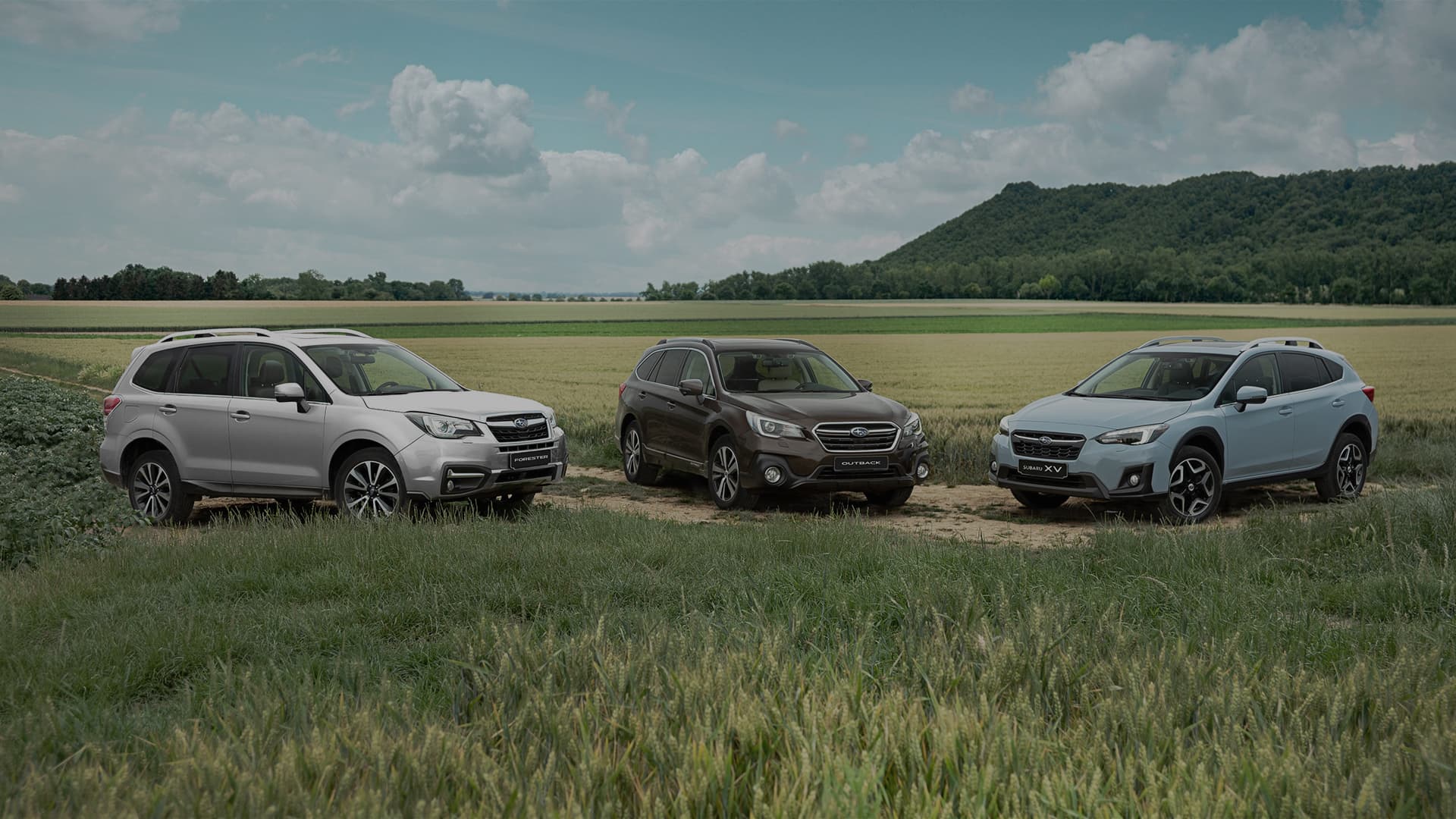 Subaru Range Page Hero (1) - S & S Services Limited