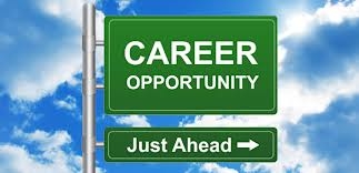 Sales Executive Opportunity