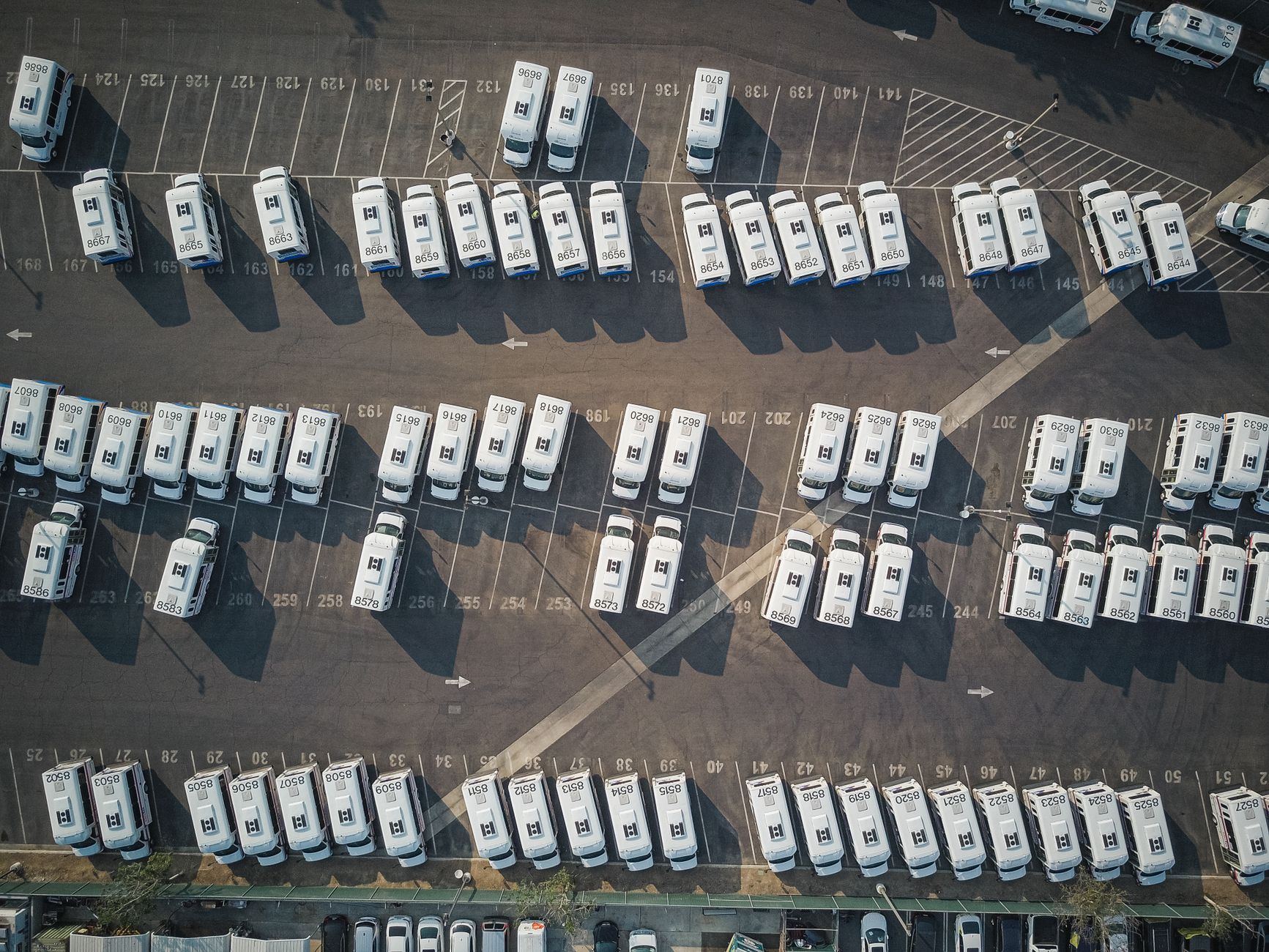 Choosing the Right Van