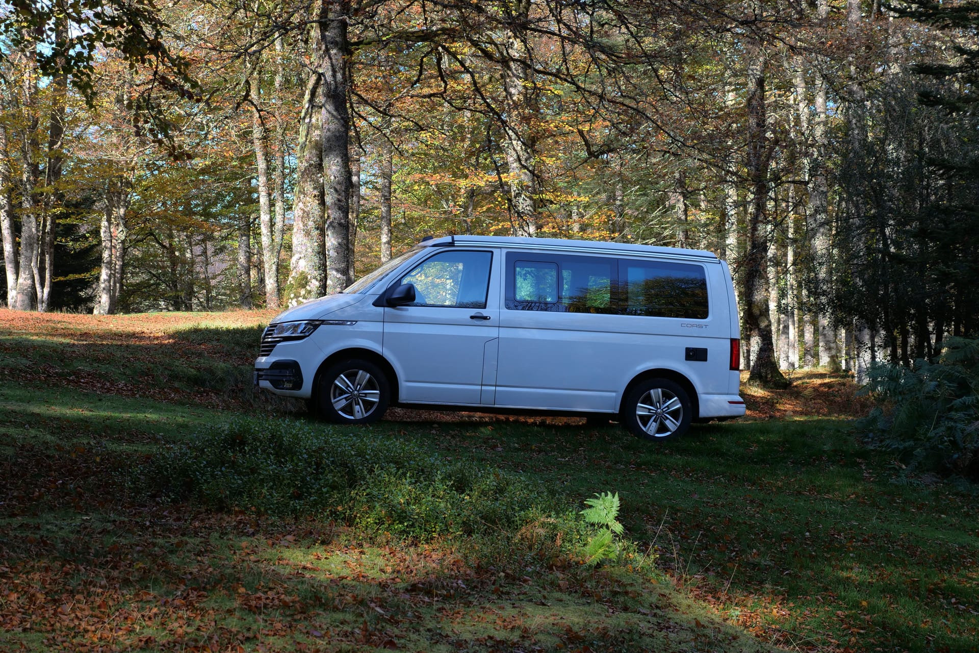 A white van parked in a tranquil forest during fall, showcasing nature's beauty with autumn leaves.
