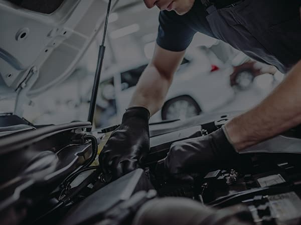 Service & MOT