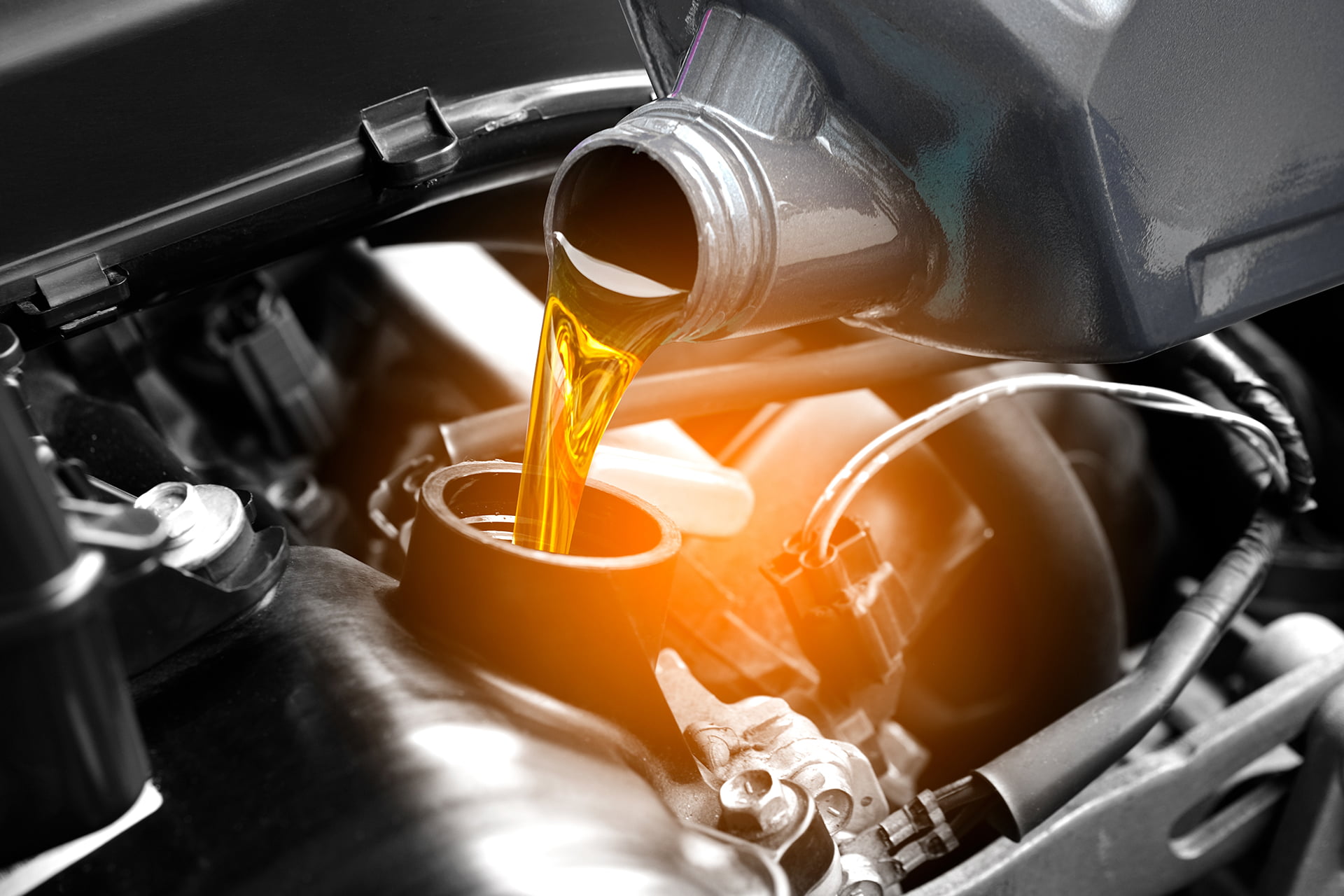 Pd Nagington Hero Or Body Image 12 (1) - PD Nagington