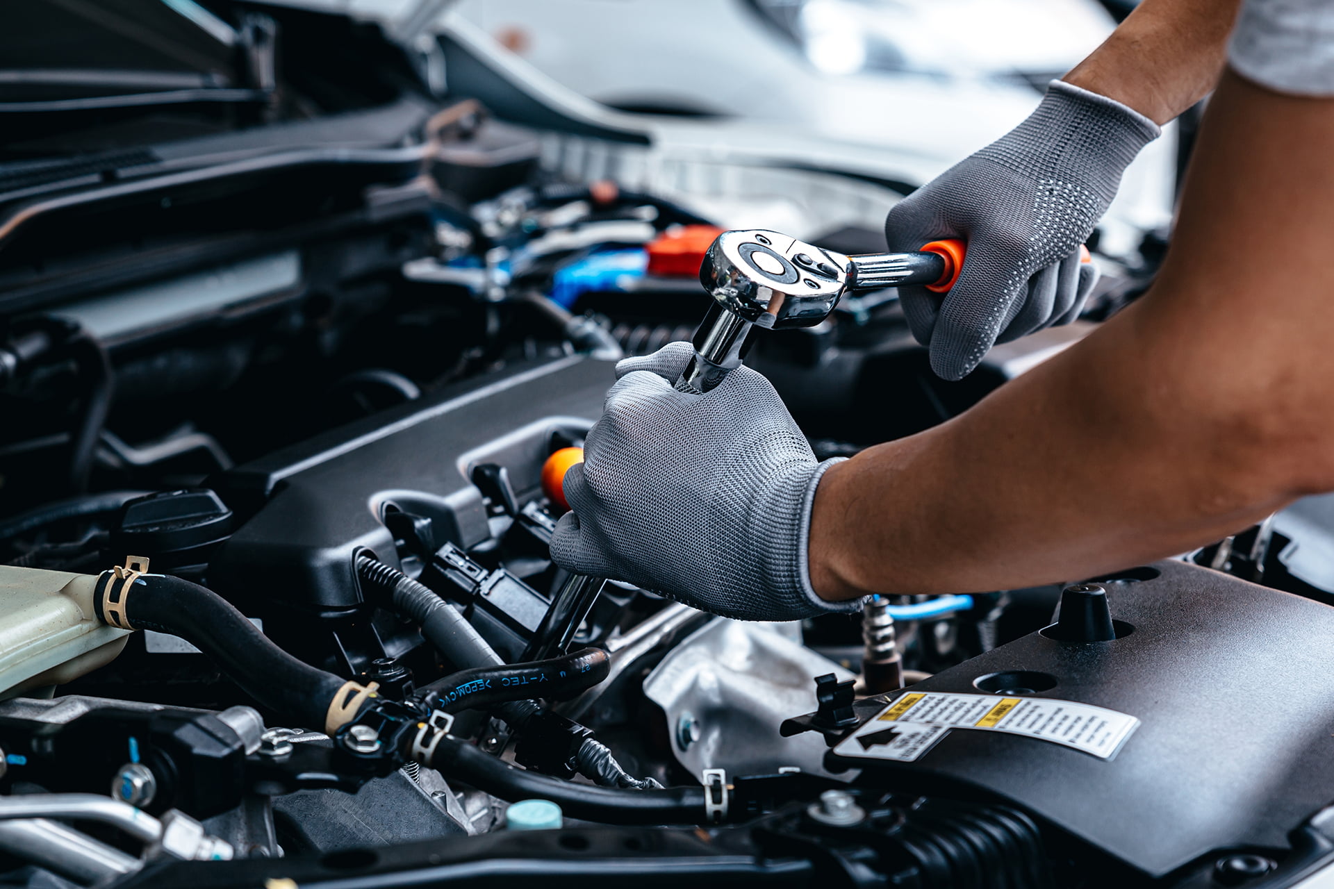 Pd Nagington Hero Or Body Image 1 (1) - PD Nagington