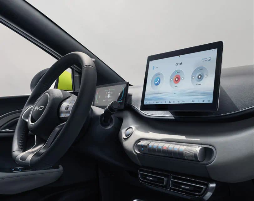 Byd Dolphin Surf Interior 02 L - BYD Kettering