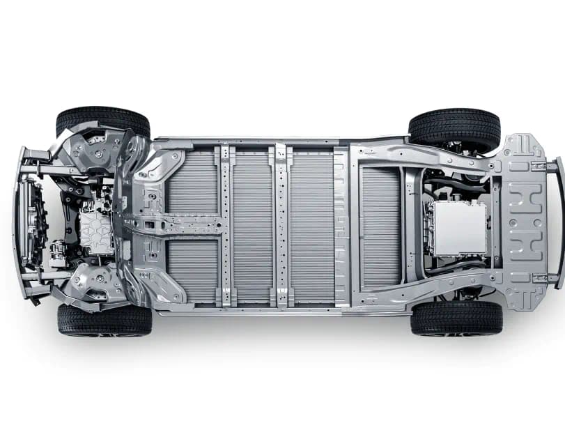 Byd Dolphin Surf Safety 03 L - BYD Kettering