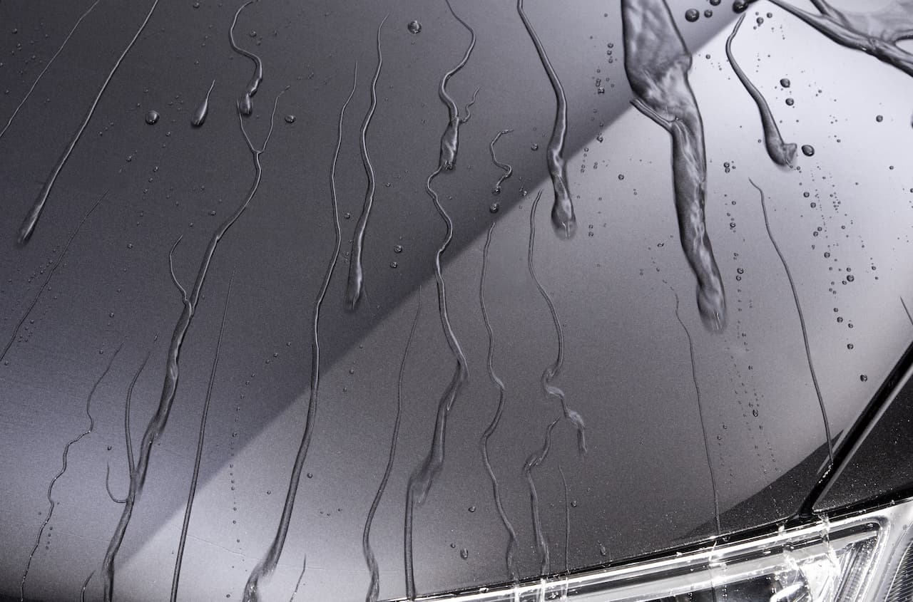 Paint Protection - Smiths Sports & Performance