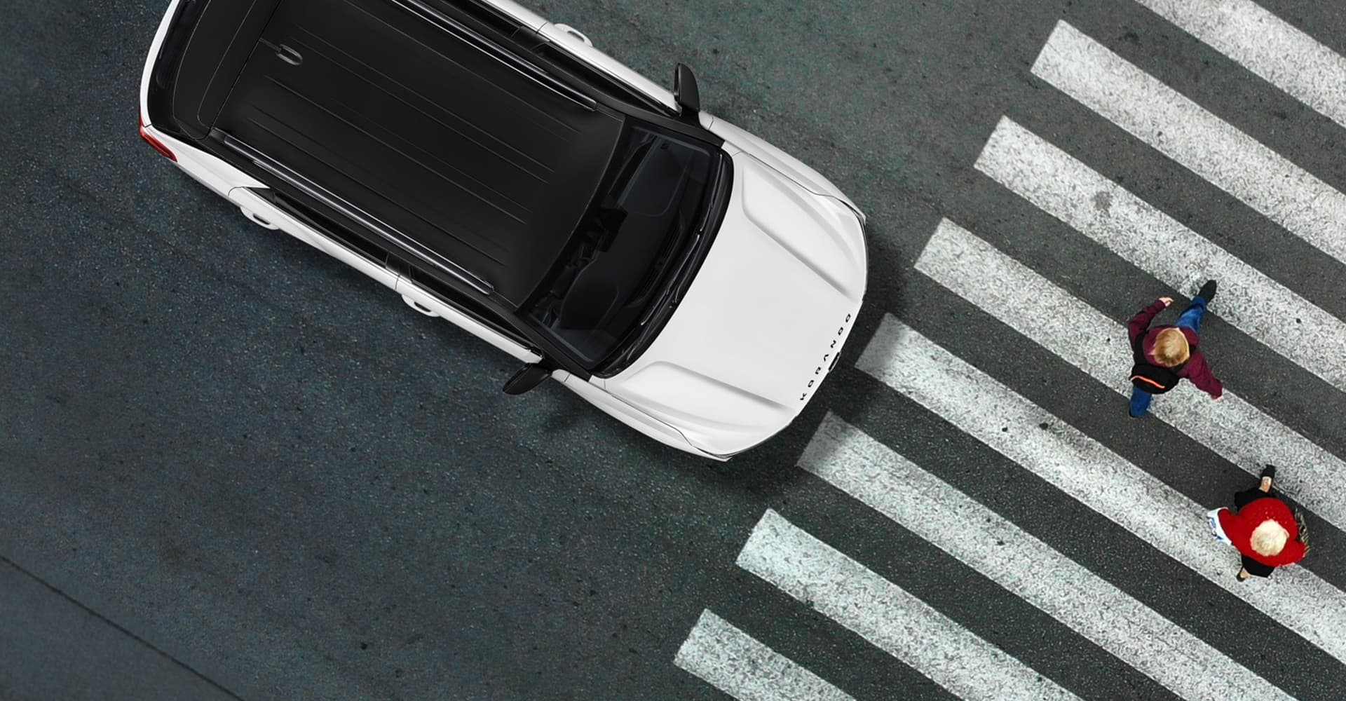 Korando Performance Image 2 (1) - Lamb and Gardiner Ltd