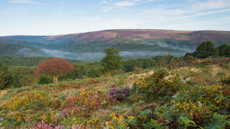 Top Autumn Destinations For You And Your Caravan - Tamar Caravans & Motorhomes