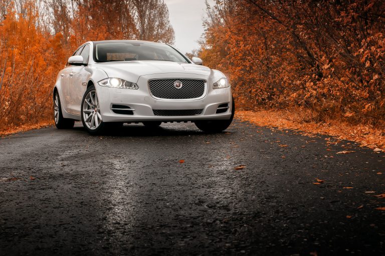 Jaguar