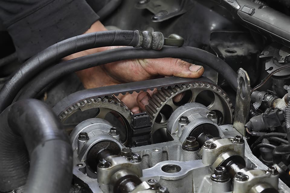 Cambelt (1) - Somerset Automotive